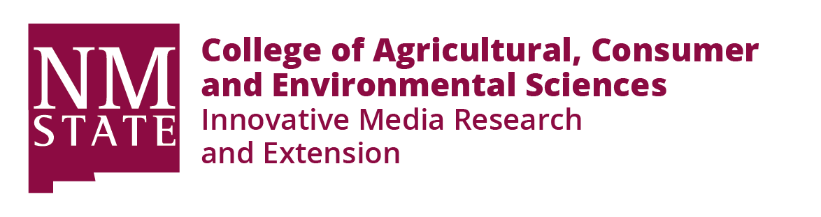 IMRE Logo